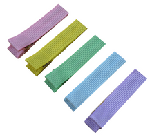 Load image into Gallery viewer, Pastel No Slip Ribbon Lined Double Pronged Alligator Hair Clip Set
