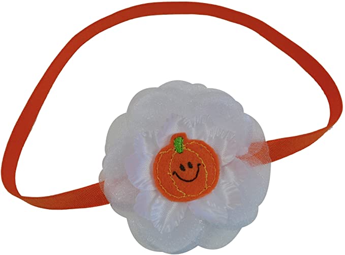 Pumpkin and Flower Elastic Headband